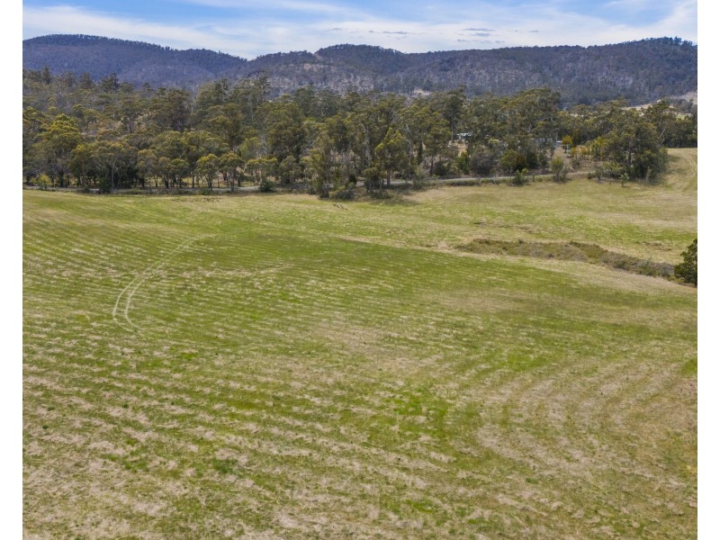1 Aldridge Road, Orielton TAS 7172