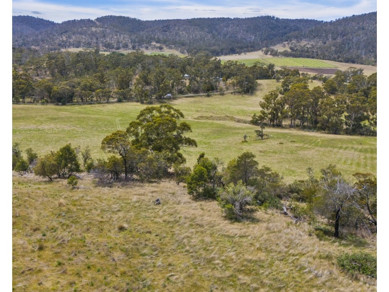 1 Aldridge Road, Orielton TAS 7172