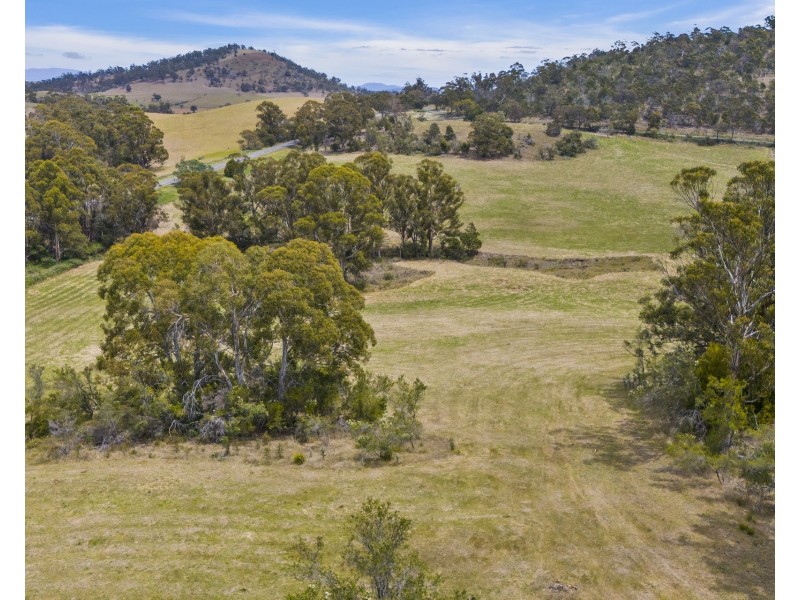 1 Aldridge Road, Orielton TAS 7172