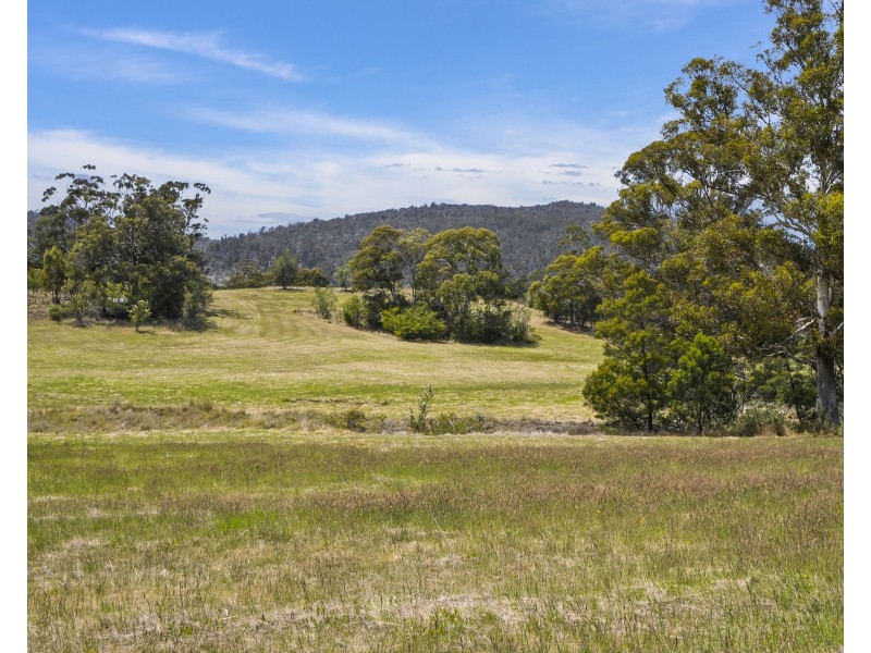 1 Aldridge Road, Orielton TAS 7172