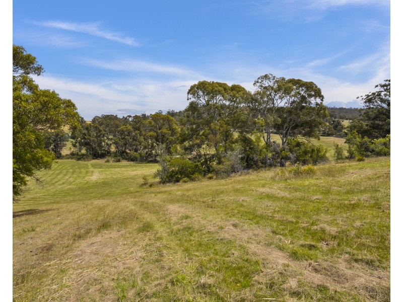 1 Aldridge Road, Orielton TAS 7172