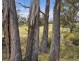 1 Aldridge Road, Orielton TAS 7172