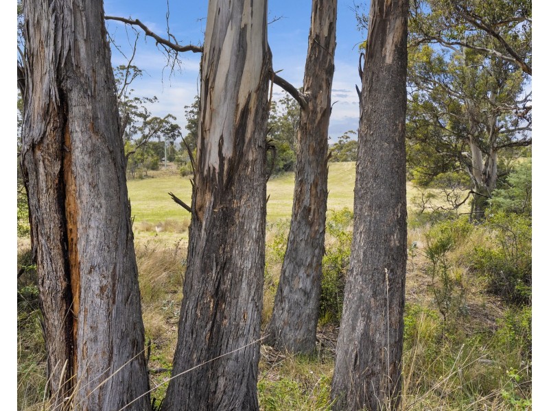 1 Aldridge Road, Orielton TAS 7172
