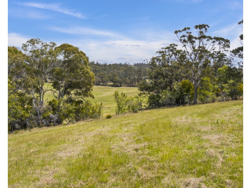 1 Aldridge Road, Orielton TAS 7172