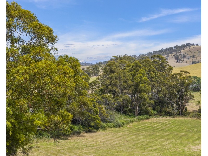 1 Aldridge Road, Orielton TAS 7172