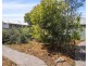 256 Shark Point Road, Penna TAS 7171