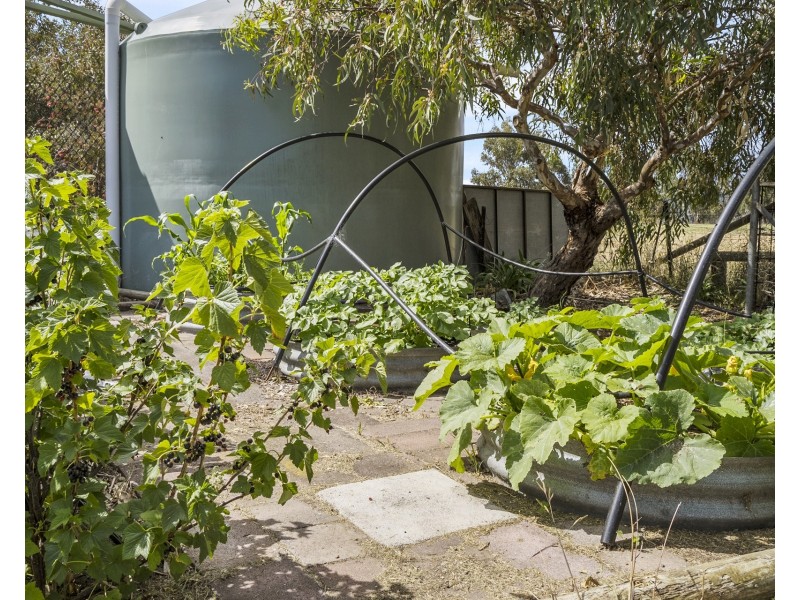 256 Shark Point Road, Penna TAS 7171