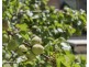 256 Shark Point Road, Penna TAS 7171