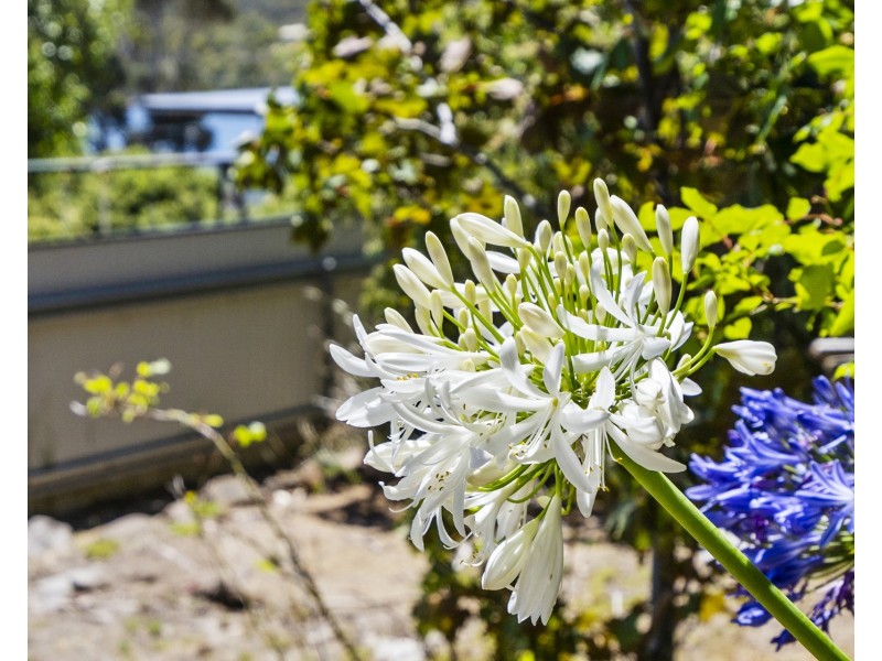 67 Sommers Bay Road, Murdunna TAS 7178