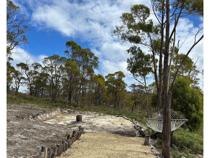 342 Heathy Hill Drive, Saltwater River TAS 7186