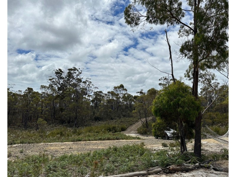 342 Heathy Hill Drive, Saltwater River TAS 7186
