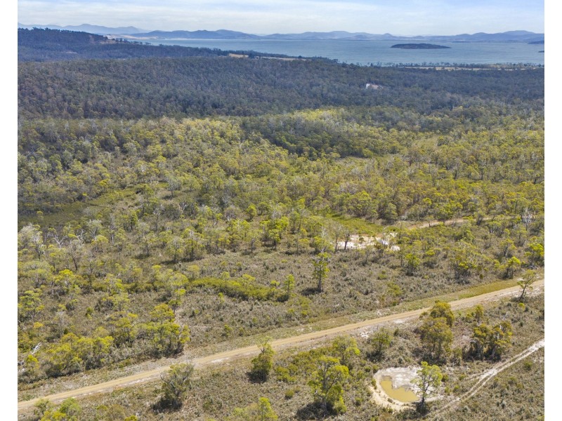 342 Heathy Hill Drive, Saltwater River TAS 7186