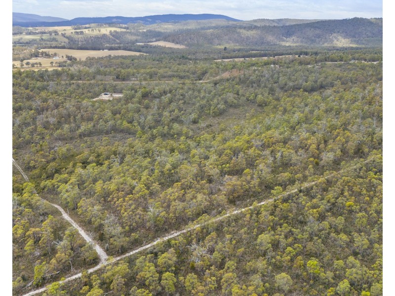 342 Heathy Hill Drive, Saltwater River TAS 7186