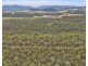 342 Heathy Hill Drive, Saltwater River TAS 7186