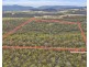 342 Heathy Hill Drive, Saltwater River TAS 7186