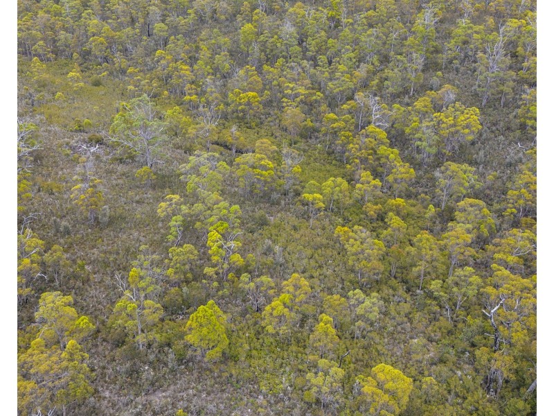 342 Heathy Hill Drive, Saltwater River TAS 7186