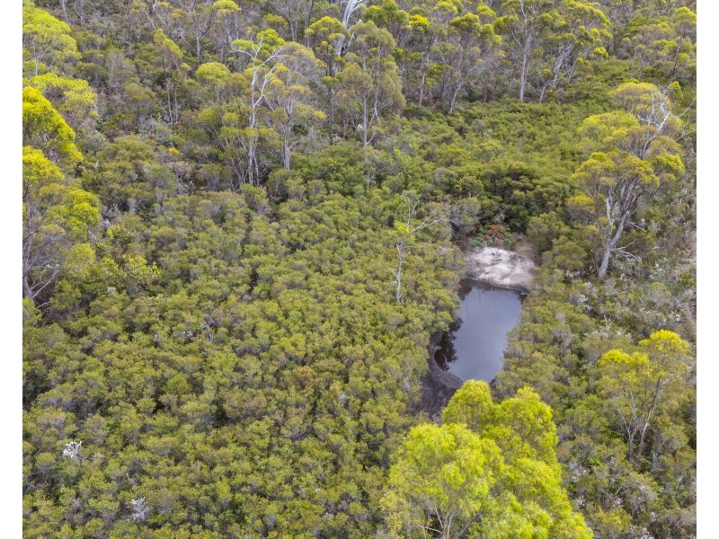 342 Heathy Hill Drive, Saltwater River TAS 7186