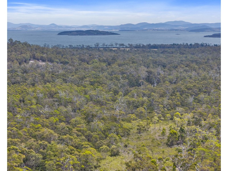342 Heathy Hill Drive, Saltwater River TAS 7186