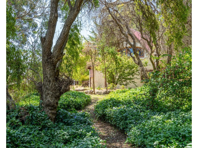 5629 Arthur Highway, Eaglehawk Neck TAS 7179