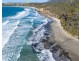 4 Blowhole Road, Eaglehawk Neck TAS 7179