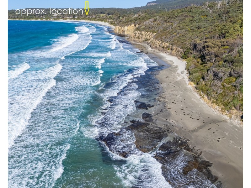 4 Blowhole Road, Eaglehawk Neck TAS 7179