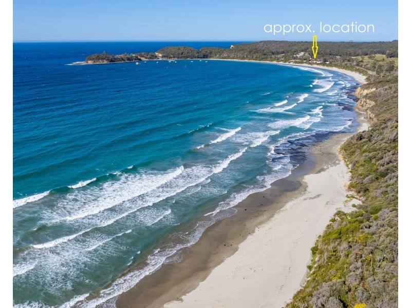 4 Blowhole Road, Eaglehawk Neck TAS 7179