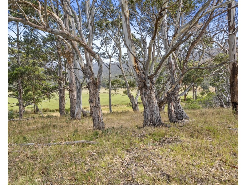 4 Blowhole Road, Eaglehawk Neck TAS 7179