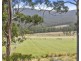 4 Blowhole Road, Eaglehawk Neck TAS 7179