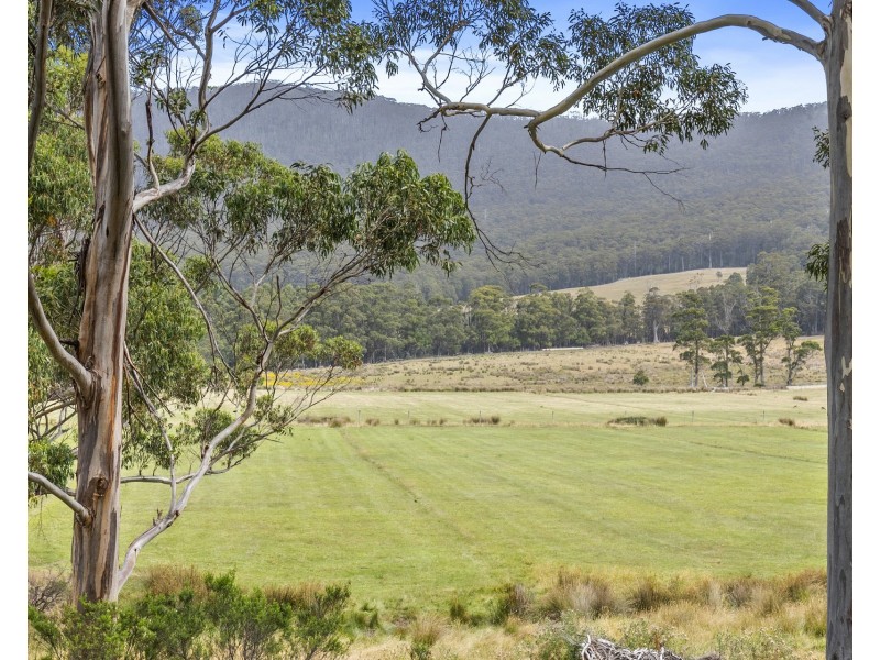 4 Blowhole Road, Eaglehawk Neck TAS 7179