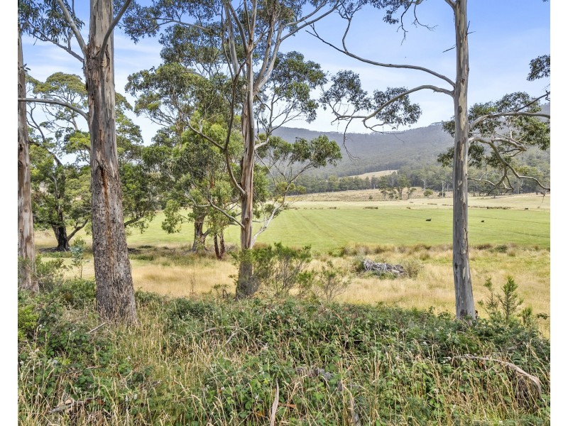 4 Blowhole Road, Eaglehawk Neck TAS 7179