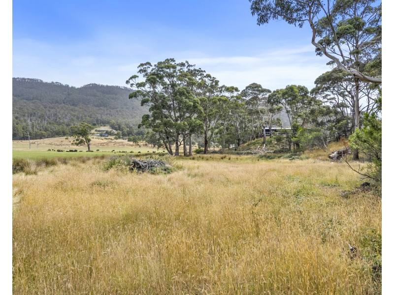 4 Blowhole Road, Eaglehawk Neck TAS 7179