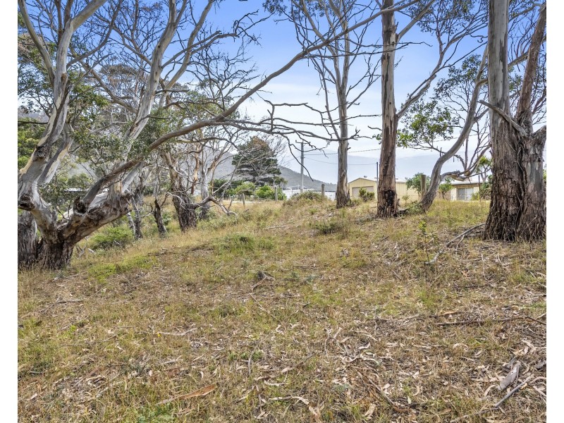 4 Blowhole Road, Eaglehawk Neck TAS 7179