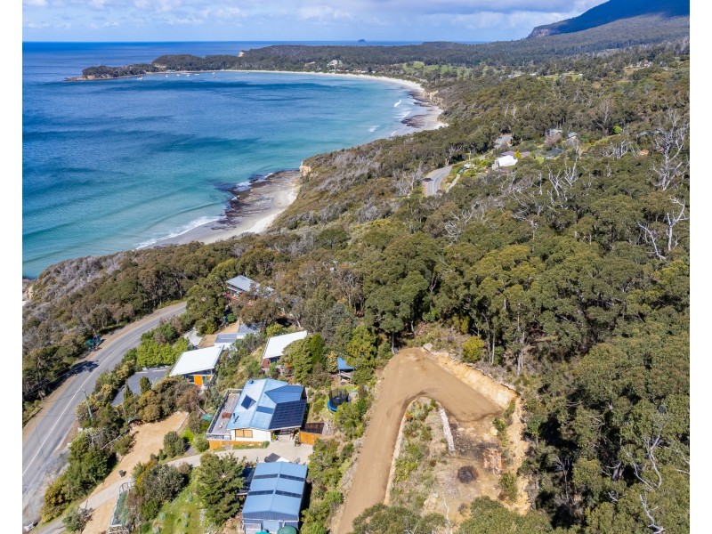 4 Blowhole Road, Eaglehawk Neck TAS 7179