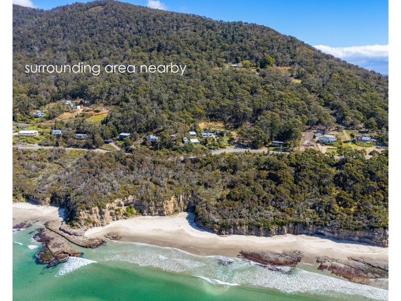 4 Blowhole Road, Eaglehawk Neck TAS 7179