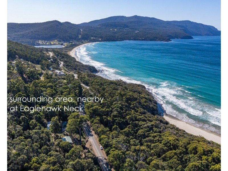 4 Blowhole Road, Eaglehawk Neck TAS 7179