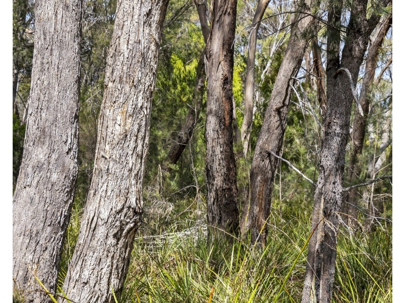 1/3937 Arthur Highway, Murdunna TAS 7178