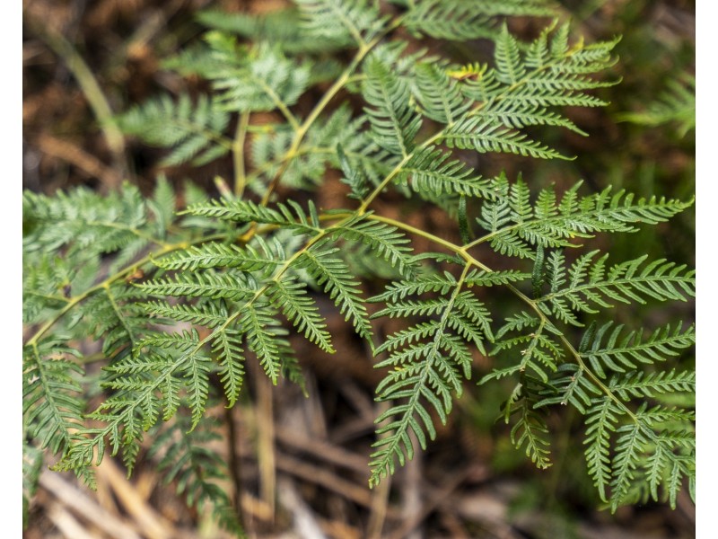 1/3937 Arthur Highway, Murdunna TAS 7178