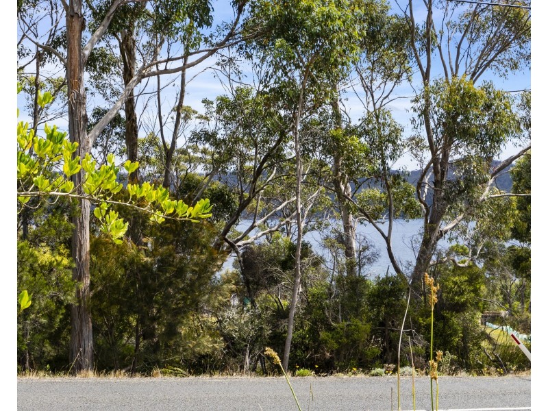 2 Stacey Street, White Beach TAS 7184