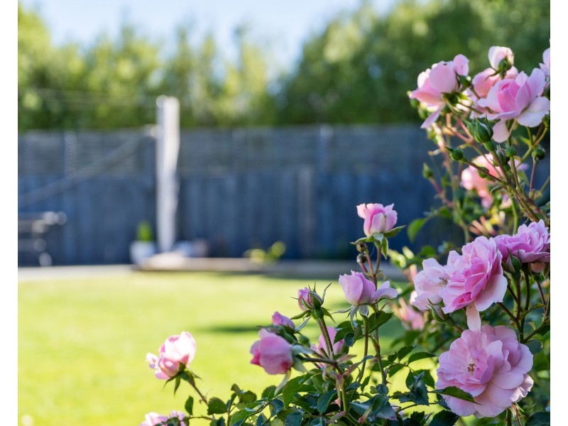 20 Amelia Court, Sorell TAS 7172