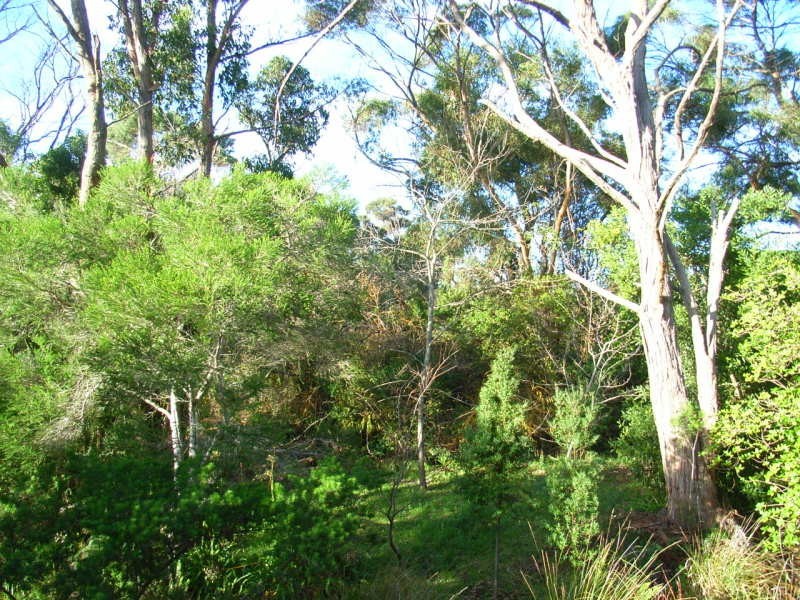 9 Lyne St, Eaglehawk Neck TAS 7179