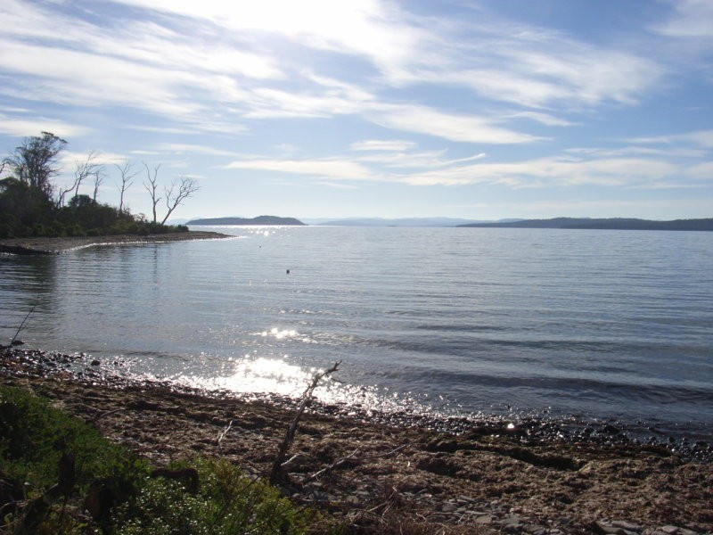 128 Black Jack Rd, Sloping Main TAS 7186