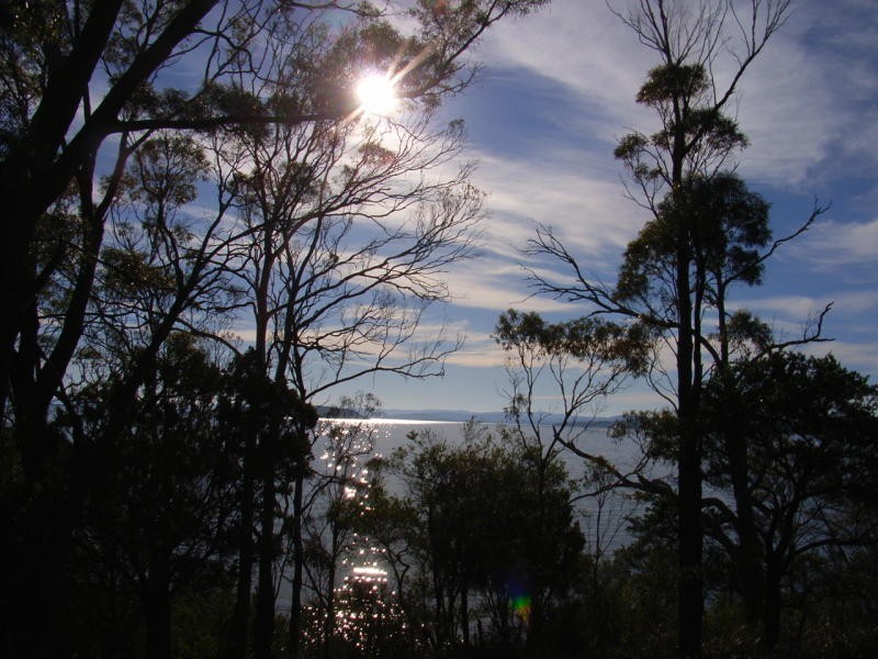 128 Black Jack Rd, Sloping Main TAS 7186