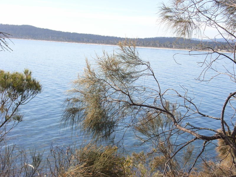 128 Black Jack Rd, Sloping Main TAS 7186