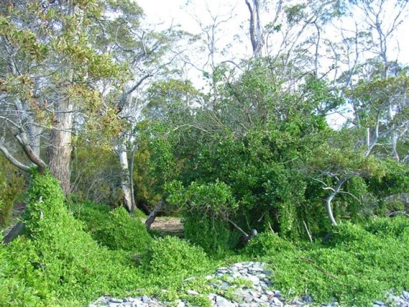 128 Black Jack Rd, Sloping Main TAS 7186