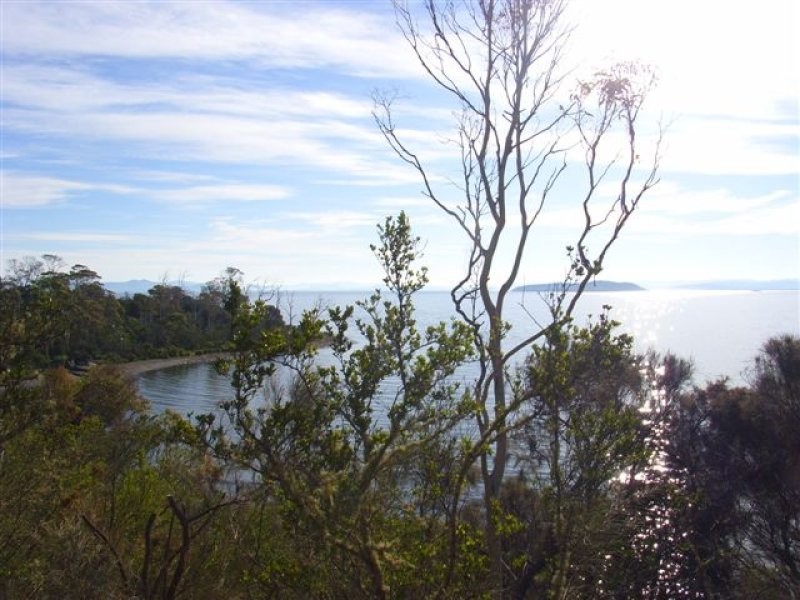 128 Black Jack Rd, Sloping Main TAS 7186