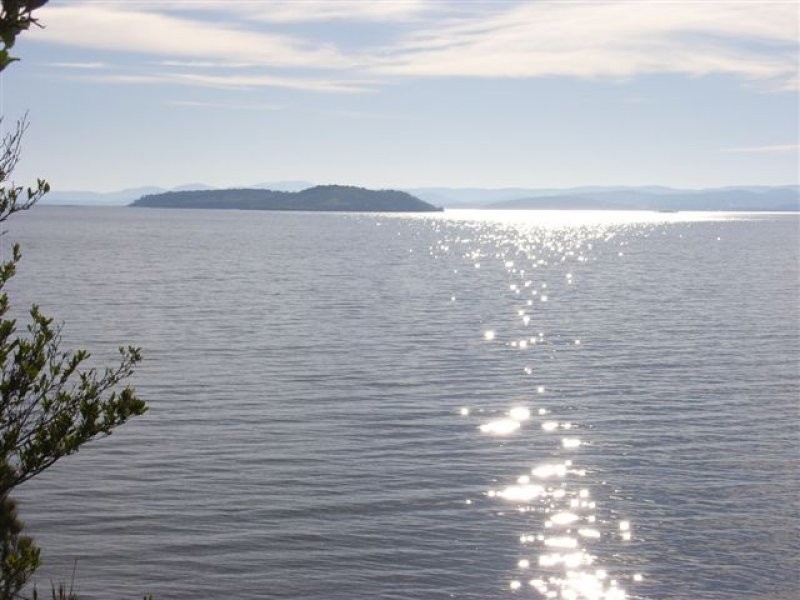 128 Black Jack Rd, Sloping Main TAS 7186
