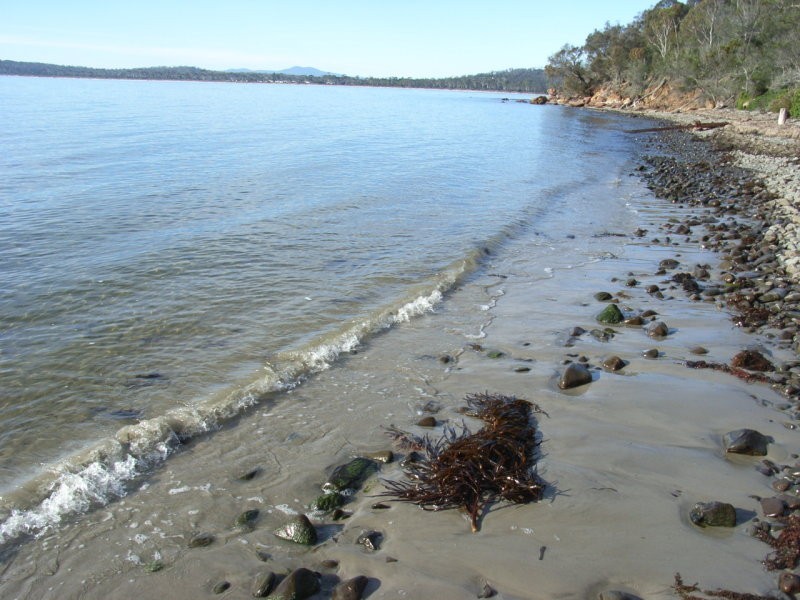 128 Black Jack Rd, Sloping Main TAS 7186