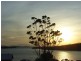 168 Sommers Bay Rd, Murdunna TAS 7178