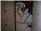 320 Roaring Beach Rd, Nubeena TAS 7184