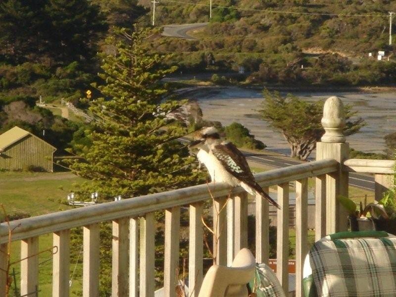 2-4 Hawks Lane, Eaglehawk Neck TAS 7179